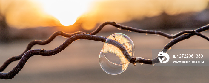 Gefrorene Seifenblasen im Sonnenaufgang