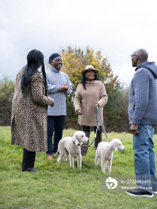 Two senior couples with dogs talking in nature