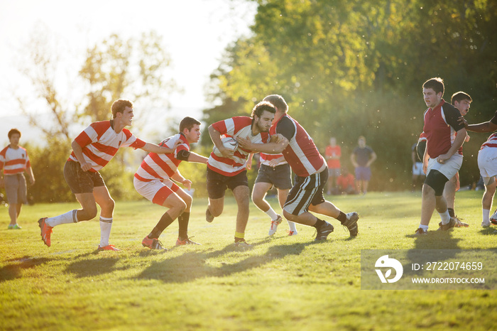 Rugby team tackling during scrimmage