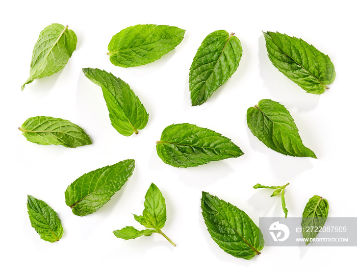 fresh green mint leaves background