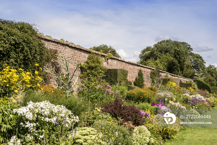 Long herbaceous border in summertime with perennial flowering plants and topiary shrubs in a walled 