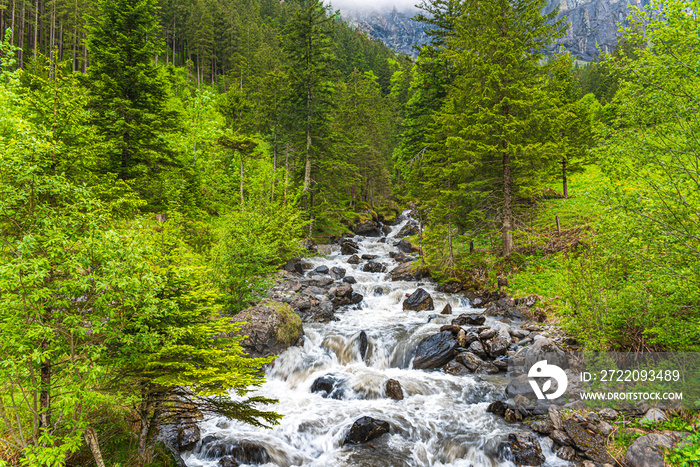 Wild part of the Alpbach river close to Kandersteg