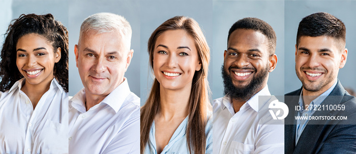 Collage Of Successful Business People Portraits With Five Multiethnic Entrepreneurs