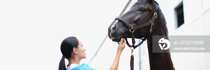 Woman veterinarian medical examination of black horse