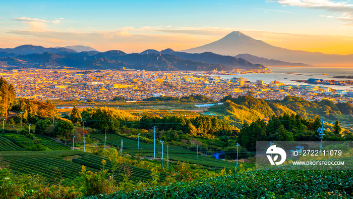 Sunrise over Fuji Mountain and green tea field 4