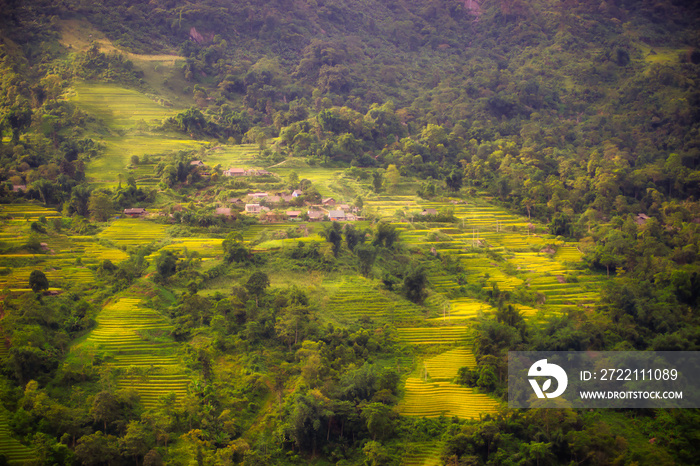 Rice on the terraced fields are ripe yellow interspersed with villages in Lao Cai, Vietnam