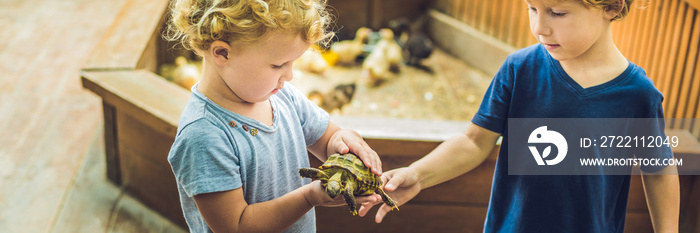 toddlers boy and girl caresses and playing with turtle in the petting zoo. concept of sustainability, love of nature, respect for the world and love for animals. BANNER, long format