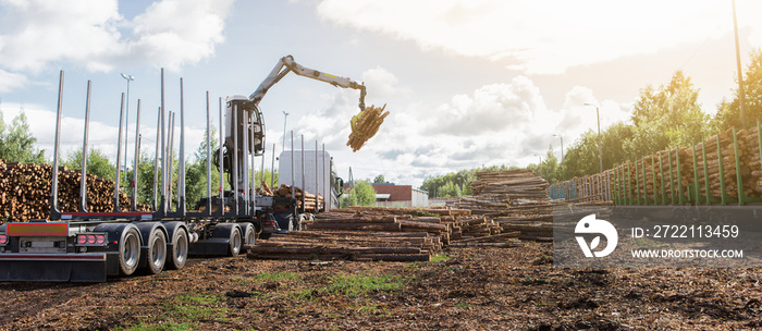 Loading of timber on railway carriages. Loader in work