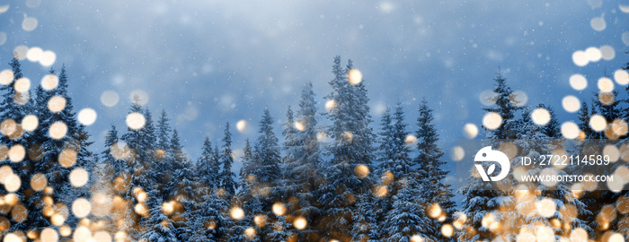 Hintergrund oder Banner / Header für das Weihnachtsfest- Tannenbäume im Schnee mit funkelnden goldenen Lichtern im Vordergrund, viel Textfreiraum