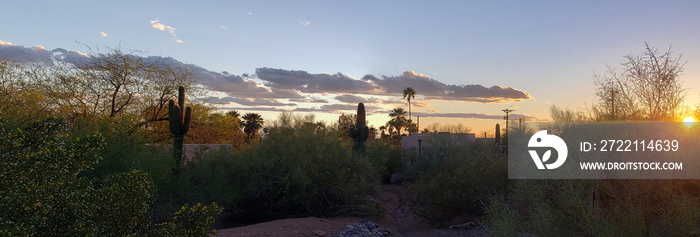 Sonoran Desert Sunset, Scottsdale, Arizona