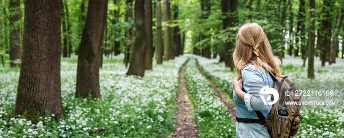 Tourist woman with backpack hiking on footpath in forest at spring. Woodland with flowers of wild garlic. Adventure in nature. Panoramic view