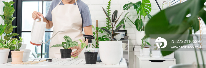 Attractive Young Asian woman taking care the household plants for Gardening at Home concept