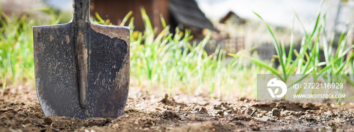 Banner - Detail of the spade -  working tool on the blurred background. Topic of the prepare garden at the cottage for the summer and hope to have a rich harvest.