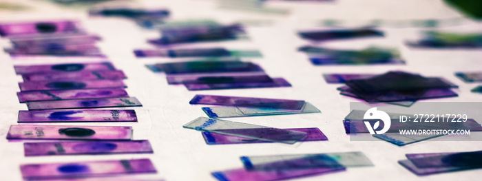 stained glass slides of peripheral blood smear with violet leishman giemsa stain in hematology pathology laboratory