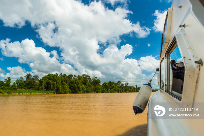 On the Kinabatangan