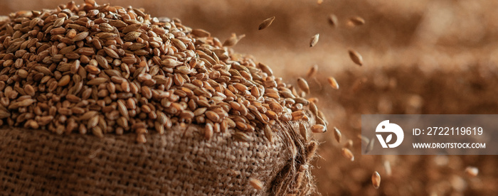 Harvested wheat grain in a linen sack Horizontal images