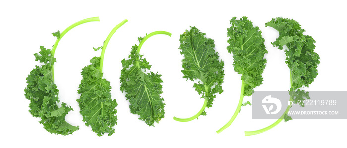 Fresh organic green kale leaves isolated on white background. Top view