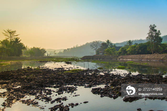 Landscape swamp with mud sunrise in the morning tree and mountain background