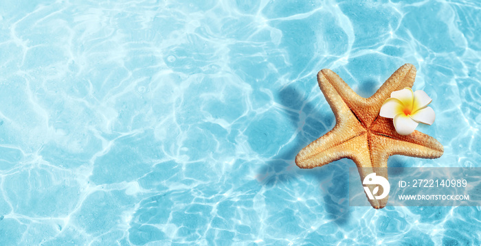 Starfish and flower on the summer beach in sea water. Summer background.