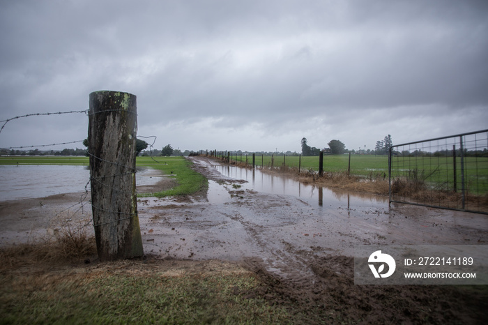 Flooded farm land