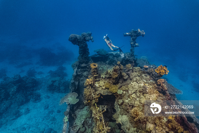 Young female free diver explores a shipwreck in a shallow water in Apo reef, Philippines.