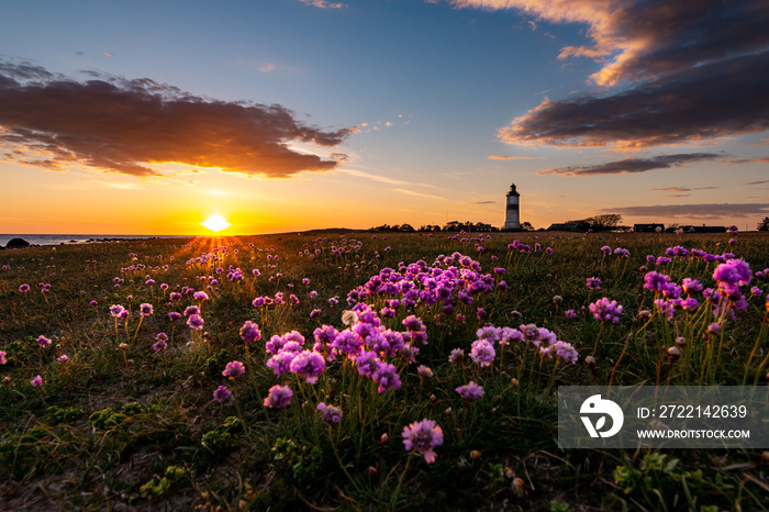 a nice sunset in sweden