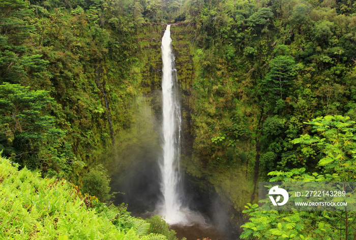 Beautiful Hawaii Big Island nature background. Scenic landscape with waterfall inside rainforest. Akaka Falls State Park, Hawaii Big Island, USA.