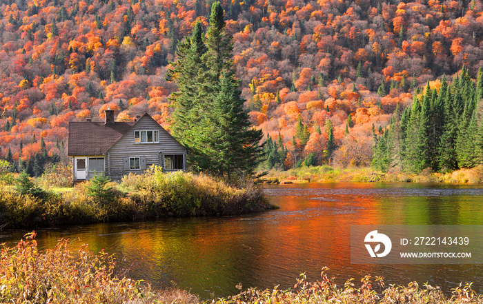 Autumn tree reflections in Parc de la national Jacques Cartier