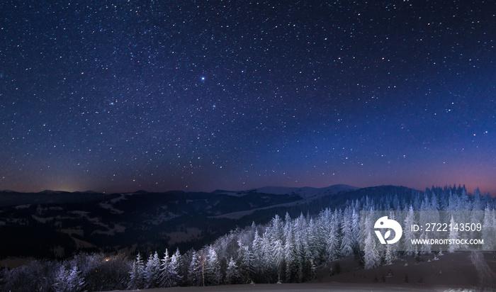 Mesmerizing night landscape snowy fir trees