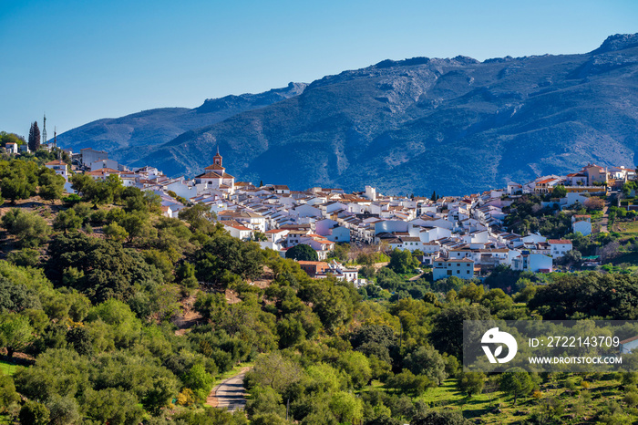 Cortes de la Frontera, Malaga Province, Andalusia, Spain, Western Europe.