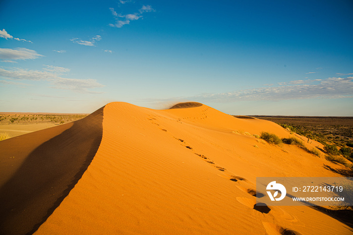 Australian desert at dusk.