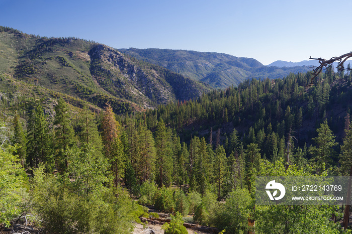 Sequoia National Forest landscape shown in the Kern Plateau in California, United States.