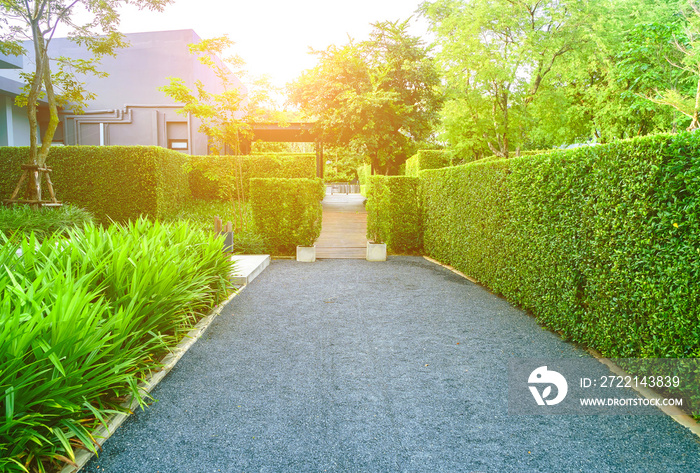 Asphalt road in the garden of the house entrance, The home side street in a green lawn, Front yard for a backdrop.