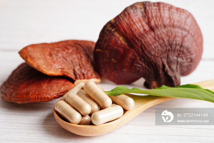 Lingzhi or Reishi mushroom with capsules, organic natural healthy food.