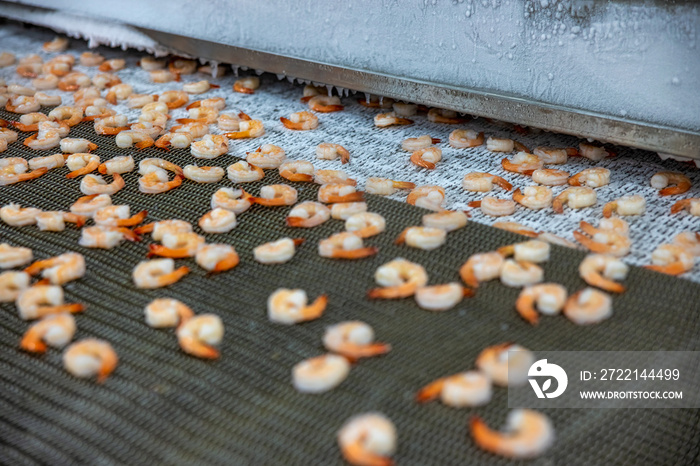 Processing frozen shrimp in a factory in Vietnam