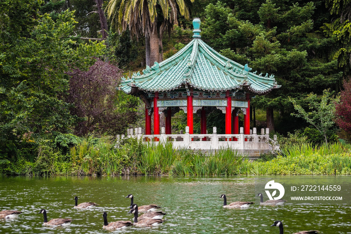 The Chinese Pavilion on the shoreline of Stow Lake; a group of Canada geese swimming on the lake, Golden Gate park, San Francisco, California