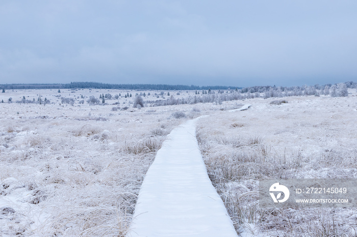 Fresh snow fall in the high fens of Baraque Michel of the Belgium Ardennes covering the landscape under a white layer creating a pure and serene view in  this unique natural park in Europe