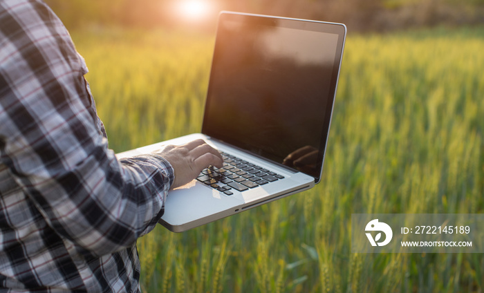 Farmer giving advice on wheat work online on tablet in wheat field