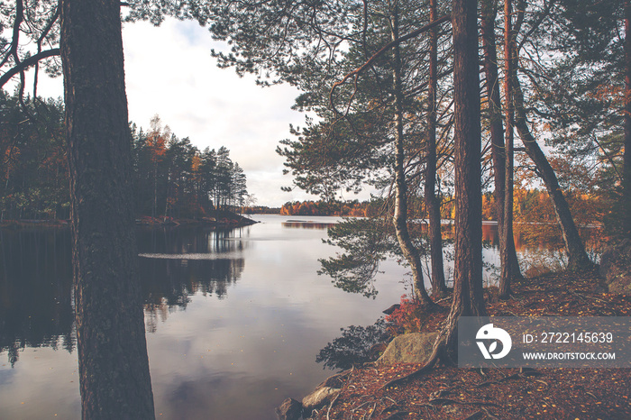 Autumnal landscape on the lake side. Image has a vintage effect applied.