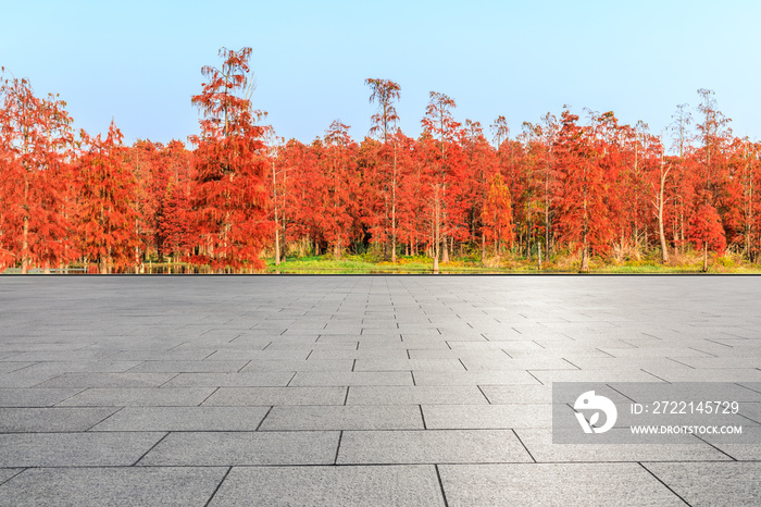 Empty square floor and beautiful colorful forest in autumn