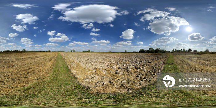 360 degrees spherical panorama of beautiful rice field landscape with blue sky