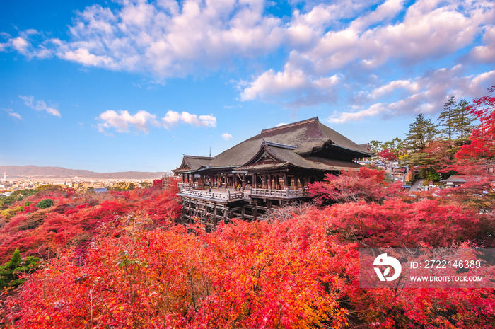 autumn scenery of Kiyomizu-dera stage kyoto, japan