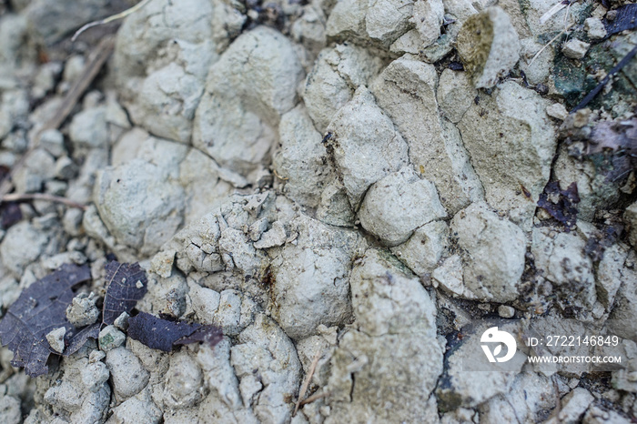 close up hardened soil forming bumps