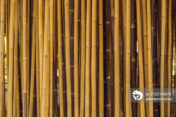 Bamboo village, Traditional houses constructed by Bamboo with Thatch roof in the heart of Bali island. Very unique and green concept