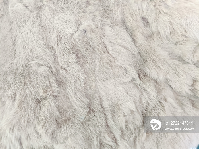 gray fur texture close-up abstract beautiful fur background