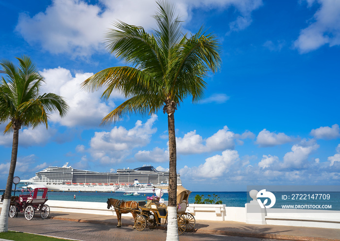 Cozumel island horse carriage and cruise