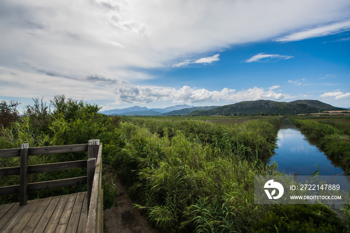 Beautiful landscape of the Albufera Natural Park in Muro and Sa Pobla. Palma de Mallorca, Spain