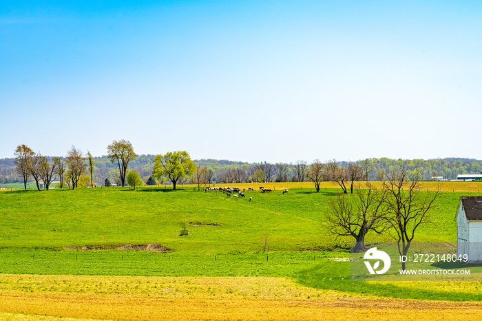 Amish country, farm, home and barn on field agriculture in Lancaster, Pennsylvania, PA US North America