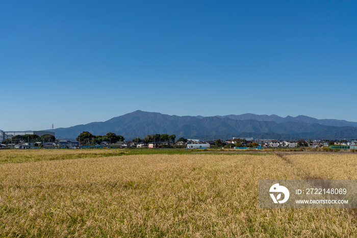 神奈川の田園風景と丹沢大山