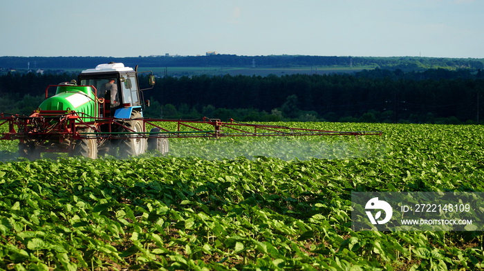 Young sunflower plants in field spraying, agriculture in spring, tractor with equipment Aerial view.